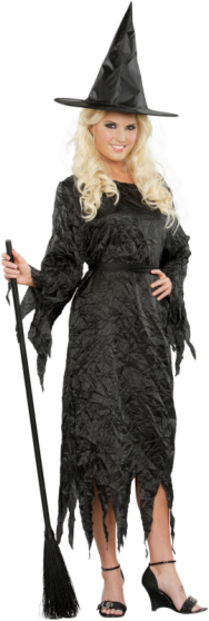 Black Witch Adult Costume - Click Image to Close