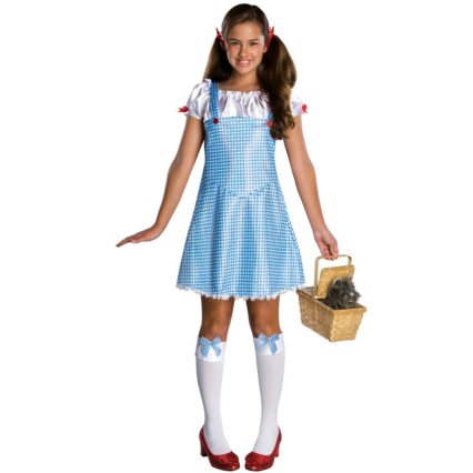 Wizard of Oz Dorothy Tween Costume - Click Image to Close