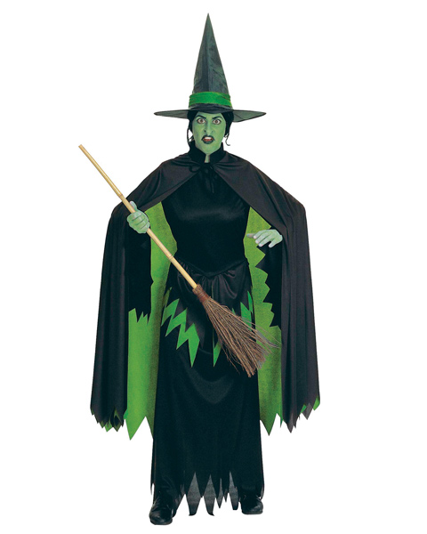 Wicked Witch Costume for Women