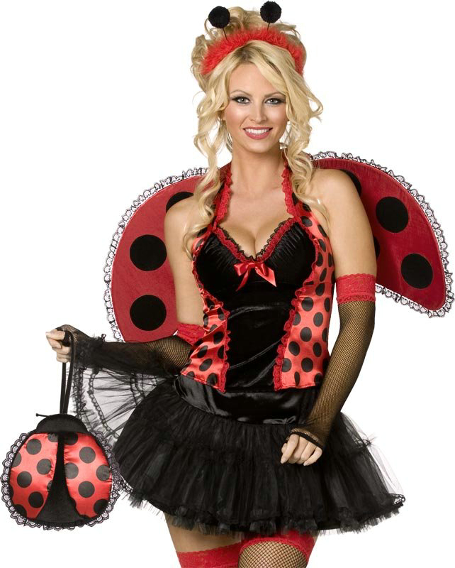 Lovely Ladybug Adult Costume.